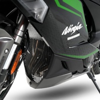 R&G Racing Pro Downpipe Grille To Suit Kawasaki Ninja 1000SX '24- & Ninja 1100SX '25-