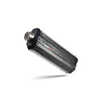 GPR DUNE Poppy Exhaust To Suit BMW R 1250 R -Rs (2021-2024)