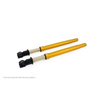 Ohlins Front fork universal 50/54/800 gold (SET)