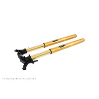 Ohlins Honda CRF1000L Africa Twin Adventure Sports (SET)