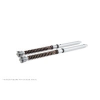Ohlins Ducati 899 959 Panigale / Panigale V4 (Showa) (SET)