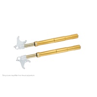 Ohlins Duc Panigale 899 / 959 / V4 (SET)