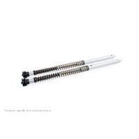 Ohlins Ducati Scrambler Desert Sled (Kayaba) (SET)