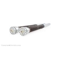 Ohlins Ducati Panigale V4 R (FL 954) (SET)
