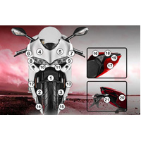 Eazi-Guard Paint Protection Film for Ducati Panigale 1299  matte