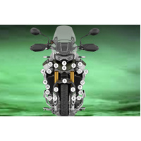 Eazi-Guard Paint Protection Film for Triumph Tiger 900 Rally Pro  matte