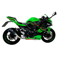 Termignoni Kawasaki ZX-4RR 24-25 Slip On