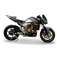 HP Corse Kawasaki Z 750 04-06 Hydroform Satin Exhaust