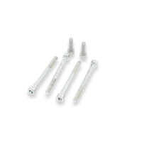 CNC Racing Screw kit cover dry clutch Ducati.