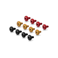 CNC Racing Rear handle screw kit Ducati Multistrada V4
