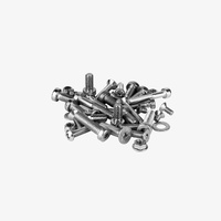 Bonamici Racing Iron screws kit for rearset code D1098