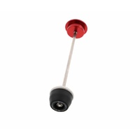 Evotech Performance Rear Spindle Bobbins To Suit Ducati Panigale V4 R 2019 - 2020
