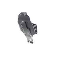 Evotech Performance BMW R nineT Engine Guard (2017+)