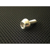 RaceFasteners M6 x 17mm Titanium Disc Bolt To Suit Honda Models
