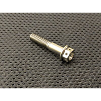 RaceFasteners M6 x 1 Titanium Drilled Hex Flange Bolt (30mm)