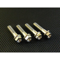 RaceFasteners Titanium Fork Bottom Hex Flange Pinch Bolts To Suit Honda CBR600RR (2007 - 2016)