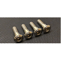 RaceFasteners Titanium Rear Disc Bolt Kit To Suit Triumph Street Triple 675 (2017 - 2019)