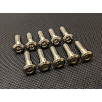 RaceFasteners Titanium Front Disc Bolt Kit To Suit Triumph Street Triple 675 (2017 - 2019)