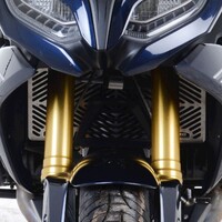 R&G Racing Stainless Steel Radiator Guard To Suit BMW R1200R/RS '15-'18 R1250R (RS) '19-, R1250RS SE '24-