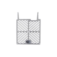 R&G Racing Stainless Steel Radiator Guard To Suit Suzuki GSX-S125 & GSX-R125 '17-