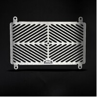 R&G Racing Stainless Steel Radiator Guard To Suit Kawasaki Ninja 250/400 '18- & Z400/ Z250 '19-,Z500 (Ninja) '24-, Eliminator 500 '24-