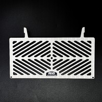 R&G Racing Stainless Steel Radiator Guard To Suit Kawasaki Ninja 125 '19-