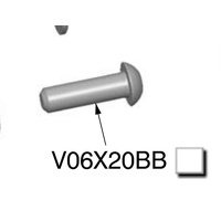 Rizoma Screw M6 x 20 SS