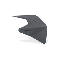 CNC Racing Swingarm cover Ducati Panigale V4 Streetfighter V4 - Carbon