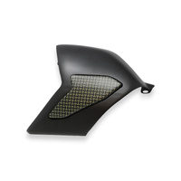 CNC Racing Swingarm cover Ducati Panigale V4 - Carbon/Kevlar