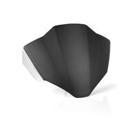 Headlight Fairing w/ Mounting Kit