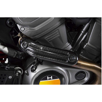 Zard Pan America 1250 | Heat Shield (20-25)