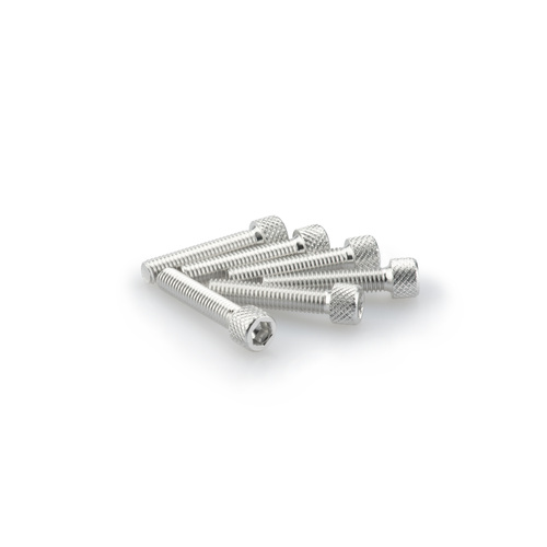 Puig Kit Screws Allen M6X30mm. (Silver)