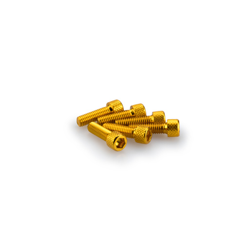 Puig Kit Screws Allen M6X20mm. (Gold)