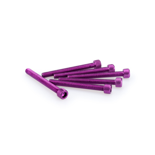 Puig Kit Screws Allen M6X55mm. C/Purple