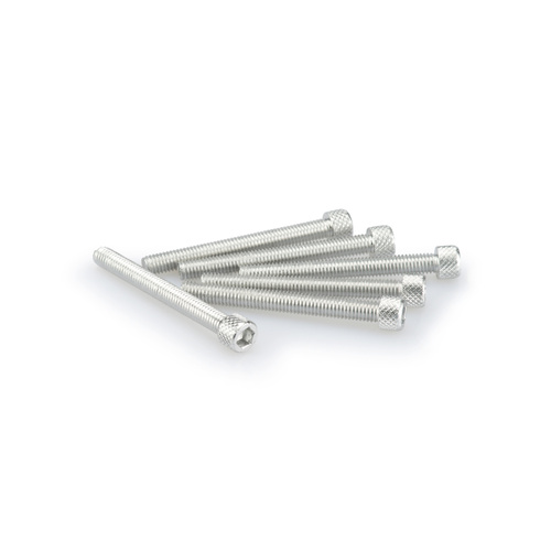 Puig Kit Screws Allen M6X55mm. (Silver)