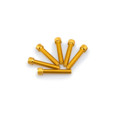 Puig Kit Screws Allen M8X45mm. (Gold)
