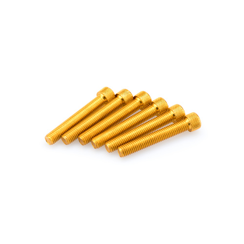 Puig Kit Screws Allen M8X50mm. (Gold)