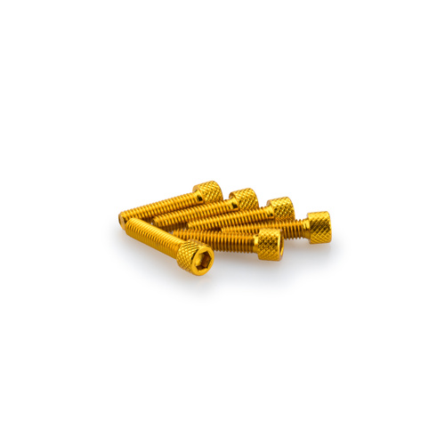 Puig Kit Screws Allen M6X25mm. (Gold)