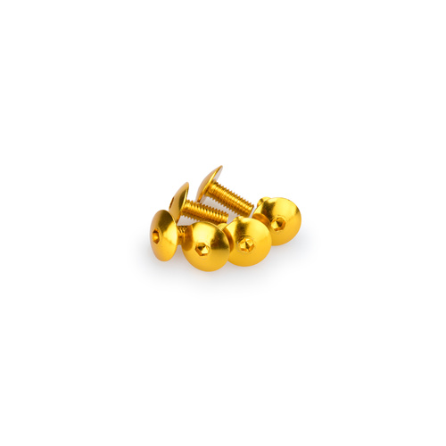 Puig Kit Screws Domed M6X15mm. (Gold)