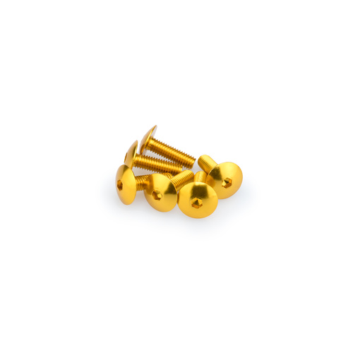 Puig Kit Screws Domed M6X20mm. (Gold)