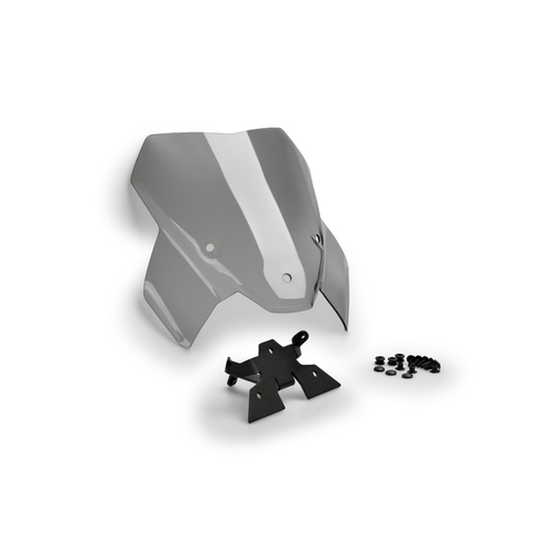 Puig New Generation Sport Screen To Suit BMW S1000R+ Supports