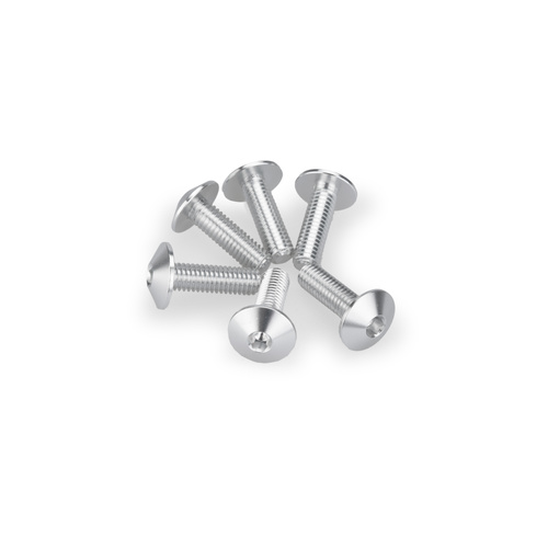 Puig Kit 6 Screws M6X20 Diam. Head 13,9Mm C/Silver