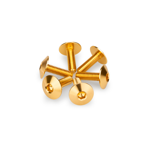 Puig Kit 6 Screws M6X20 Diam. Head 16,8mm (Gold)
