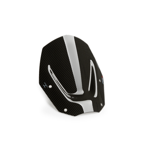 Puig Sport Screen Bmw R1300Gs 24' C/Carbon Look