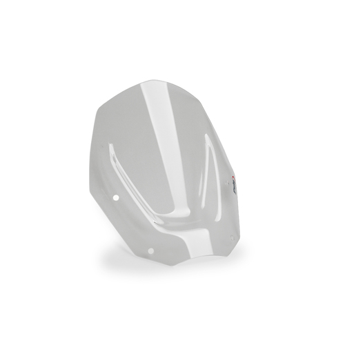 Puig Sport Screen BMW R1300GS 24' C/Clear