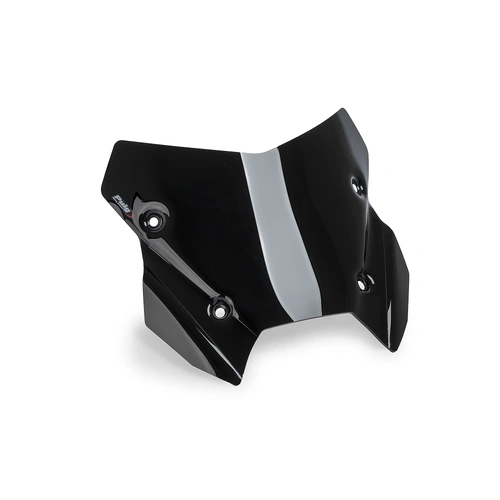 Puig SPORT SCREEN BMW R1300RS 25' C/BLACK