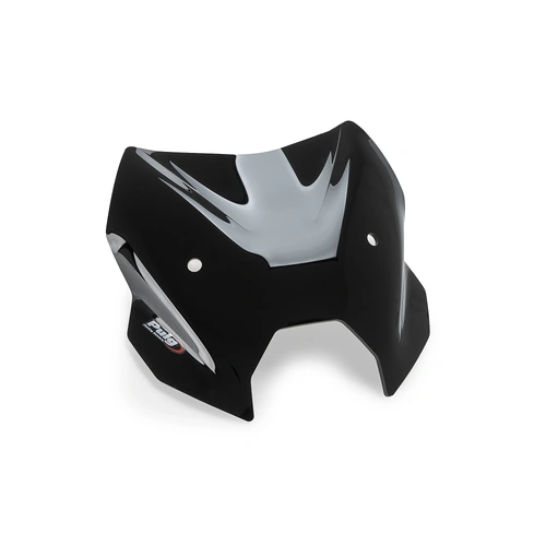 Puig CBRIS. N.G.SPORT BMW R1300R 25' C/BLACK