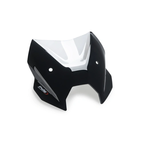 Puig CBRIS. N.G.SPORT BMW R1300R 25' C/CLEAR