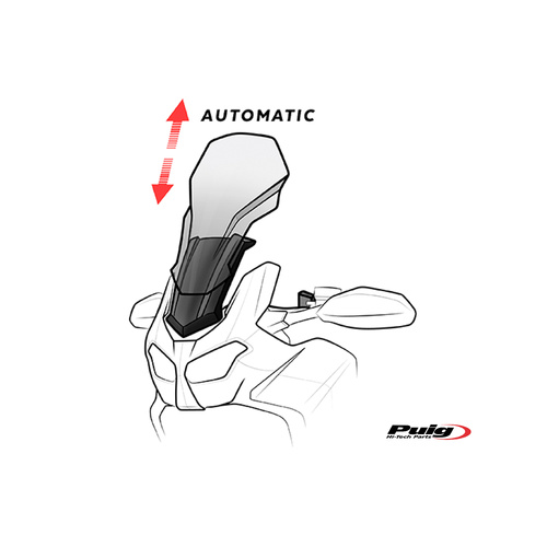 Puig Electronic Regulation System Ers Triumph Tiger