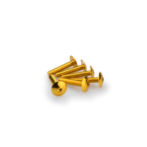 Puig Kit Screws Domed M6X30 (Gold)
